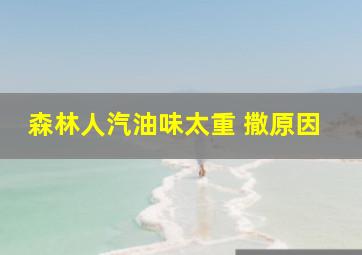 森林人汽油味太重 撒原因